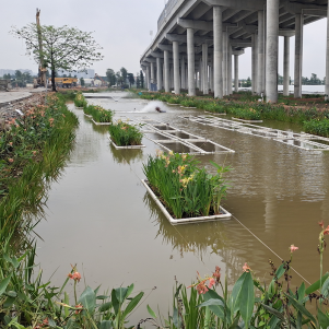 双鸭山中山市横栏镇宝裕村养殖池塘升级改造和尾水治理项目