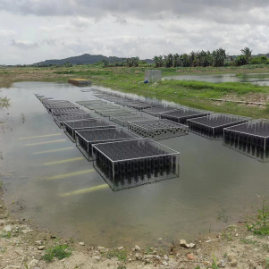 双鸭山南朗街道渔业绿色循环发展试点项目