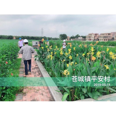 双鸭山开平苍城镇平安村农村环境整治