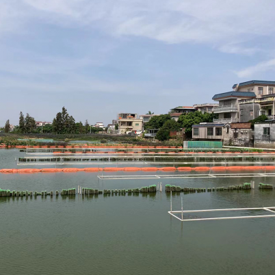 双鸭山佛山市顺德区均安镇上迳片区 / 豸浦水产养殖尾水处项目