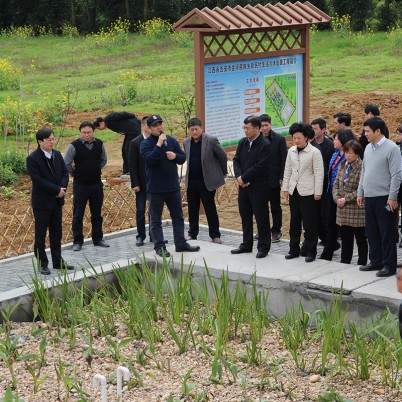 双鸭山吉安市峡江县金坪民族乡农村环境整治